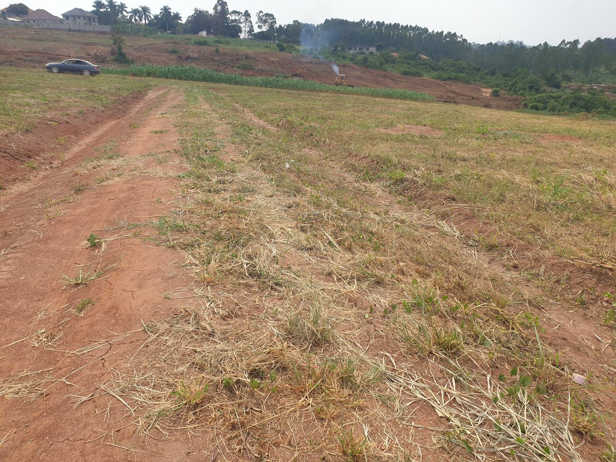 Mrlandug's tweet photo. Discover Your Dream Gayaza Town land at Gayaza Makenke Estate! Secure your 50x100 ft. plot for just 60M Negotiable
20kms from City Square Kampala. Act now to invest in your future!
0780315383 | 0709083330
#RealEstateDeals #Dreamland  #landHunting #PriceSlash  #SpecialOffers https://t.co/FP4cOrU8ZN