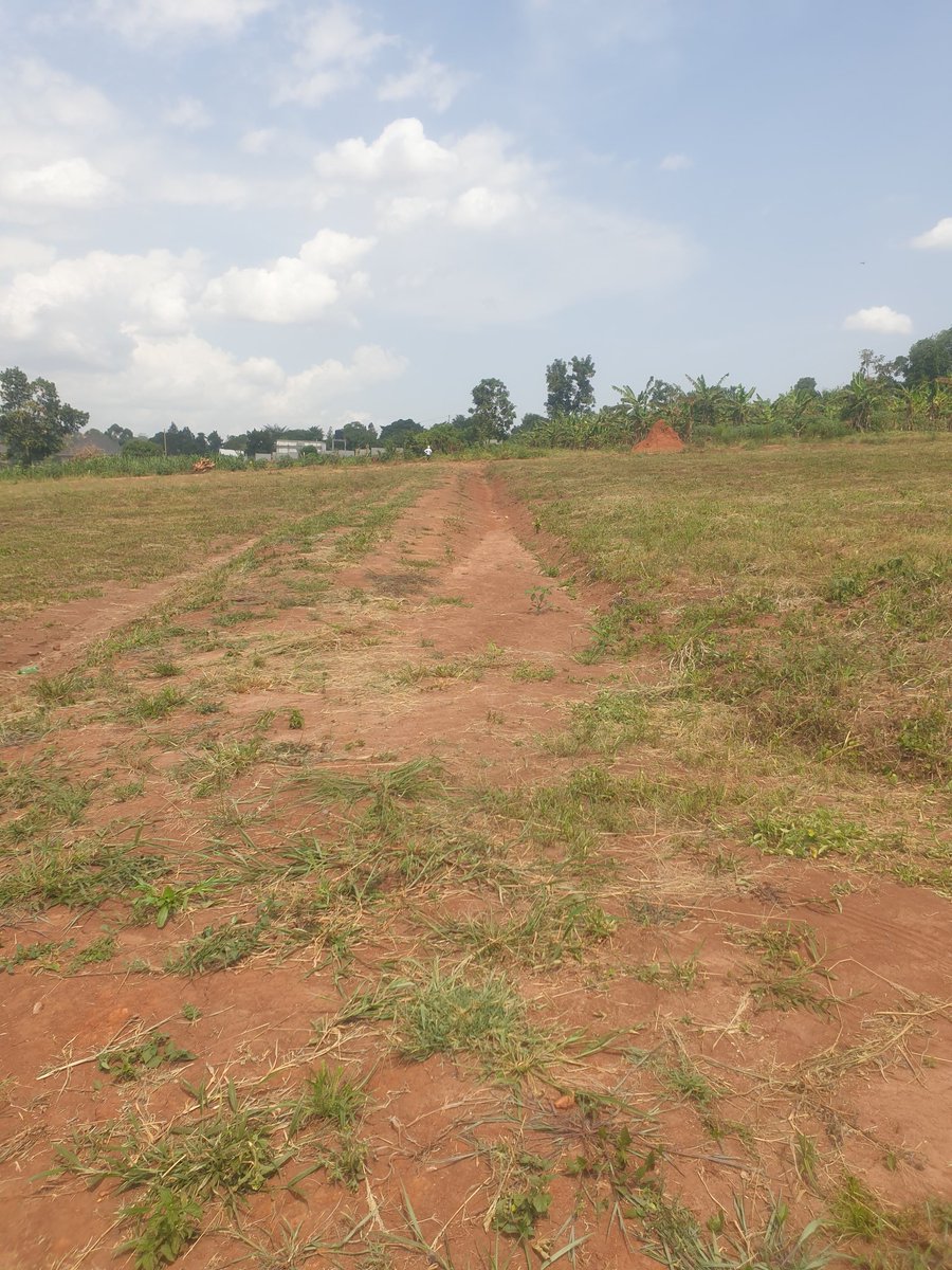 Mrlandug's tweet photo. Discover Your Dream Gayaza Town land at Gayaza Makenke Estate! Secure your 50x100 ft. plot for just 60M Negotiable
20kms from City Square Kampala. Act now to invest in your future!
0780315383 | 0709083330
#RealEstateDeals #Dreamland  #landHunting #PriceSlash  #SpecialOffers https://t.co/FP4cOrU8ZN