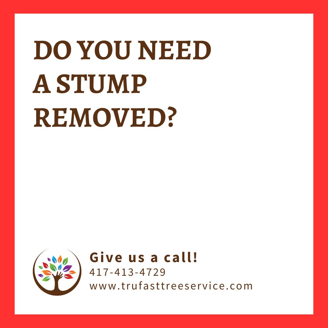 We can help remove unsightly stumps from your yard.

Give us a call. 417-413-4729

#springfieldmo #417land #ozarkmo #trufasttreeservice