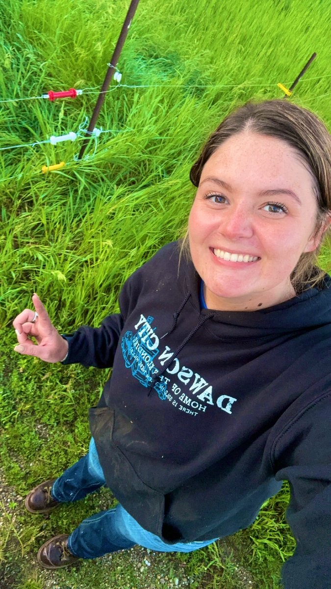 Jessenjj's tweet photo. Sheep fence ✅ 🐑 
Crop Tour ✅ 
Sunset ✅
Happy Tuesday night 💕

#womenofag #Pioneer https://t.co/LuAVMbQx0X