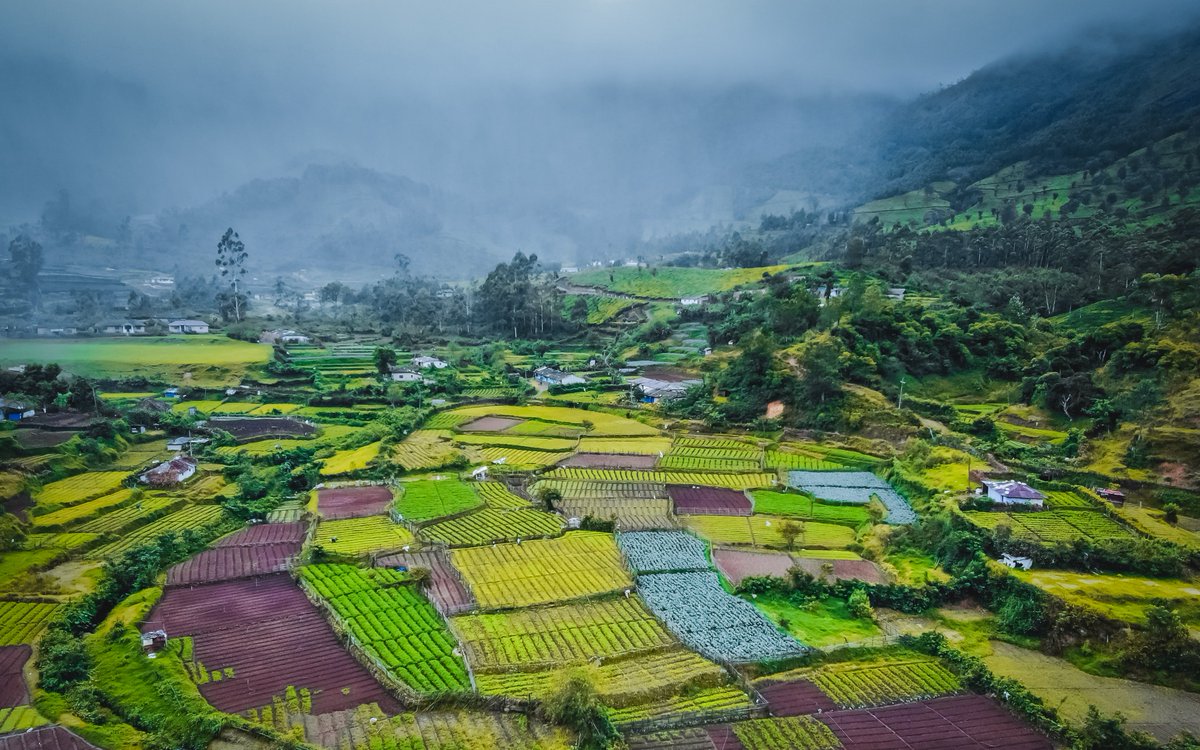 GM GM!

Wonderland! 

Participating in #photez #phoetez competition and its quite fascinating to see so many beautiful entries in TEZOS! 

 who is joining me to mint "WONDERLAND"? :) 

3 TEZ 

objkt.com/tokens/KT1UBGa…

@Tez_Town