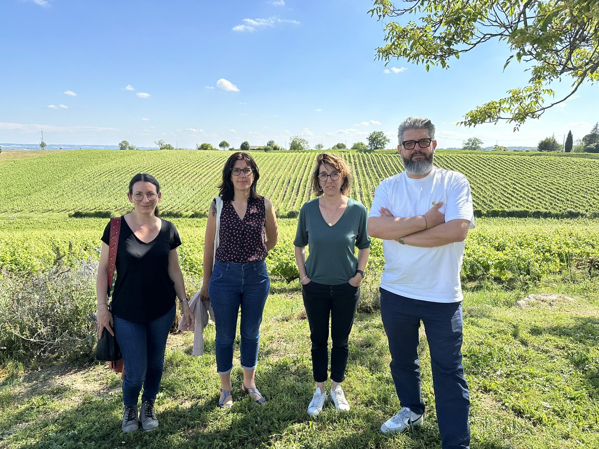 VigneIndépOccitanie tweet media