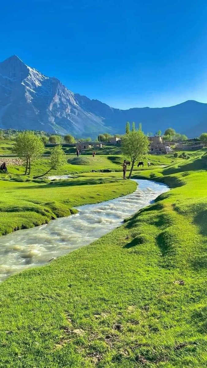 shujaat15272801's tweet photo. Good morning everyone
Have a great day
Basho valley Skardu
#Shujaatali #Bashovalley https://t.co/VV86oJSH1b