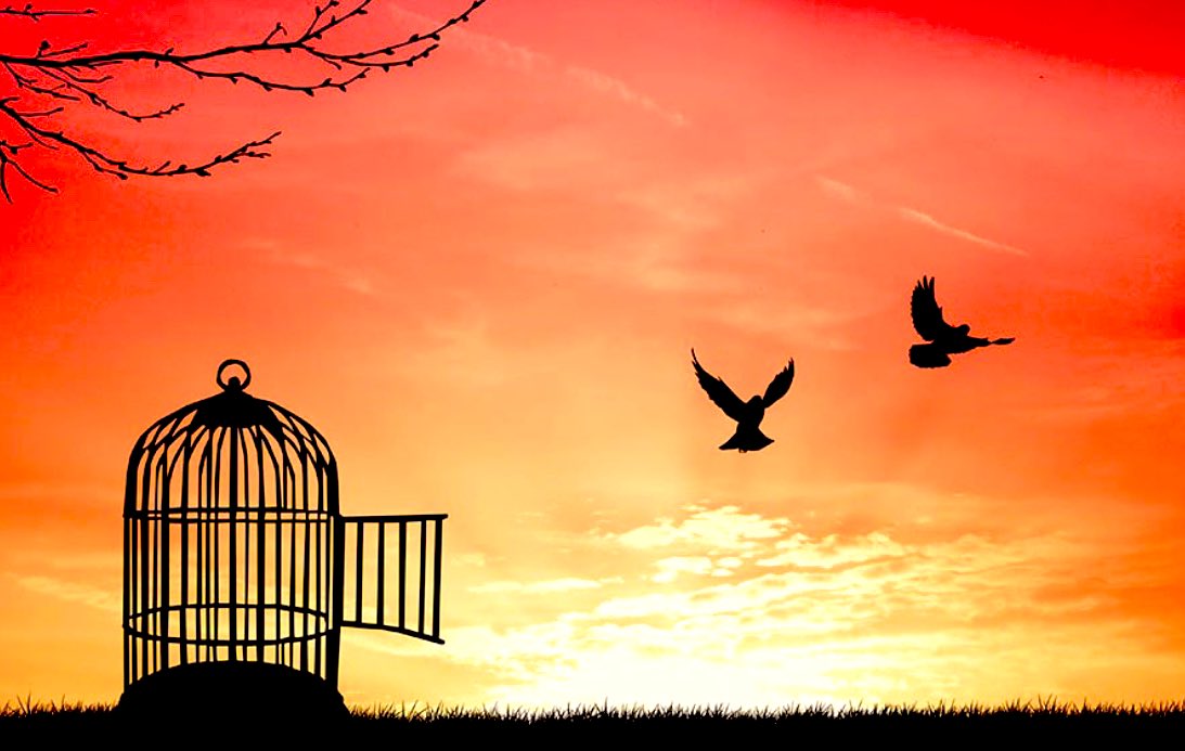 ‘Does Philosophy set us free? 🤔
#WednesdayWonderings #Philosophy #P4C #Time #StHilarysSchool #SurreyPrepSchool <a href="/StHilarysSchool/">St Hilary's School</a> @SAPERE_P4C <a href="/TaffTykeC/">Catherine 💙</a> <a href="/TeachP4C/">Paul Kell</a> <a href="/ThinkingBPA/">Get that thinking feeling@BarbaraPriestman Academy</a> <a href="/biannacardinale/">bianna cardinale ❤🇺🇦</a> <a href="/filocri_P4C/">filocriatividade - joana rita 💭🎨</a> <a href="/little_chatters/">Little Chatters</a> <a href="/philosophyteach/">andrew rogers</a> @philos_backpack