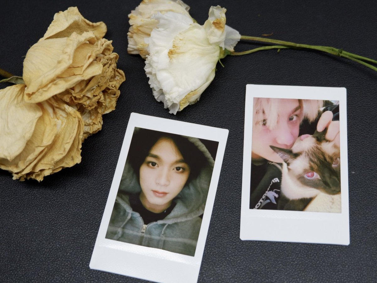 sncollects's tweet photo. sample photos for reference ☻ (from instax mini evo) https://t.co/qjce4xFdyf