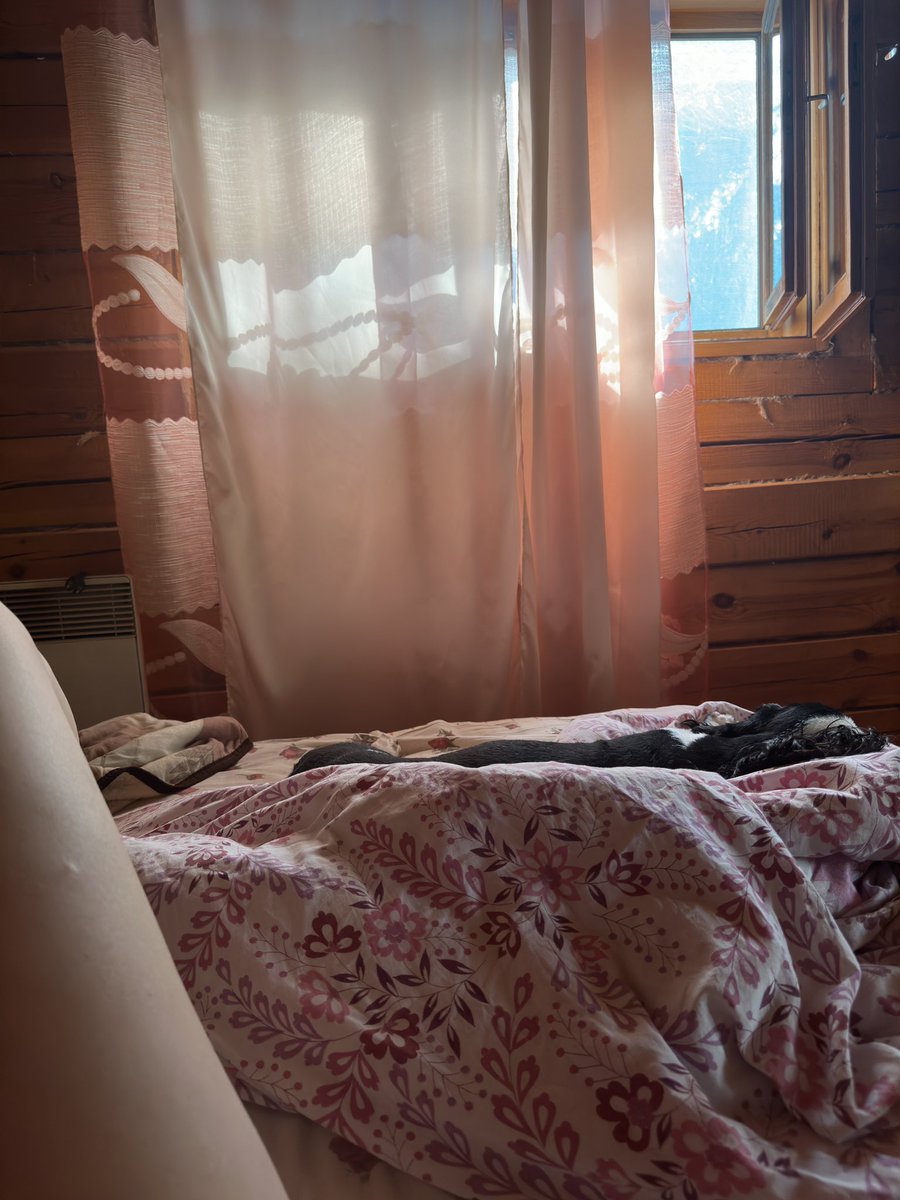 juliadravert's tweet photo. пока Алби с основным хозяином дома, я чилю в Иркутске с Ричи 
эта маленькая собака мешает мне спать уже четвертый день, из-за него я просыпаюсь по ночам, потому что он прижимается ко мне, толкает меня лапками , а я не могу не пустить его вечером на кровать 🥹 https://t.co/T7WiTsAcmd