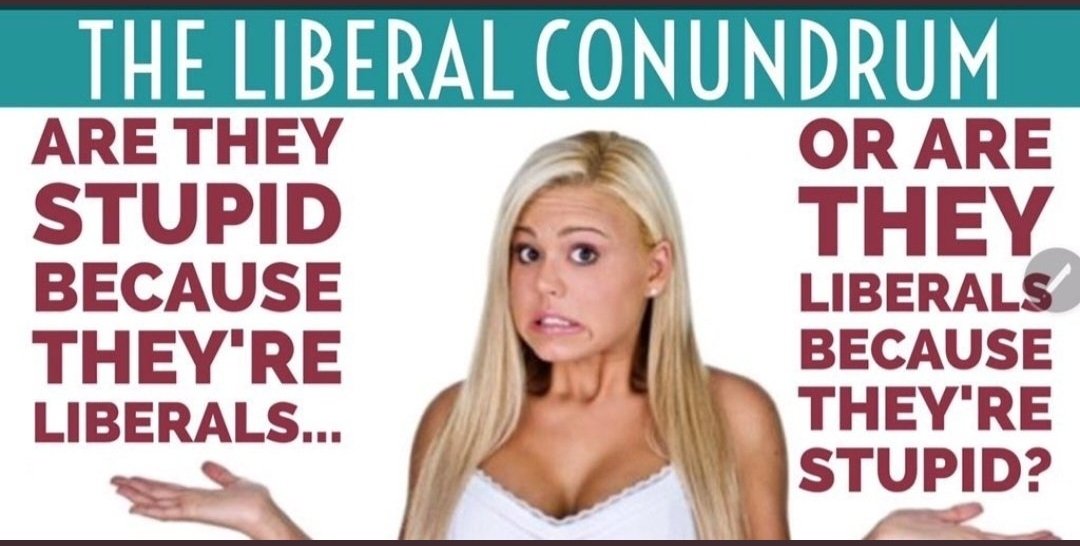 The Liberal Conundrum. 🤷🏽

It's probably both 😆 🤣