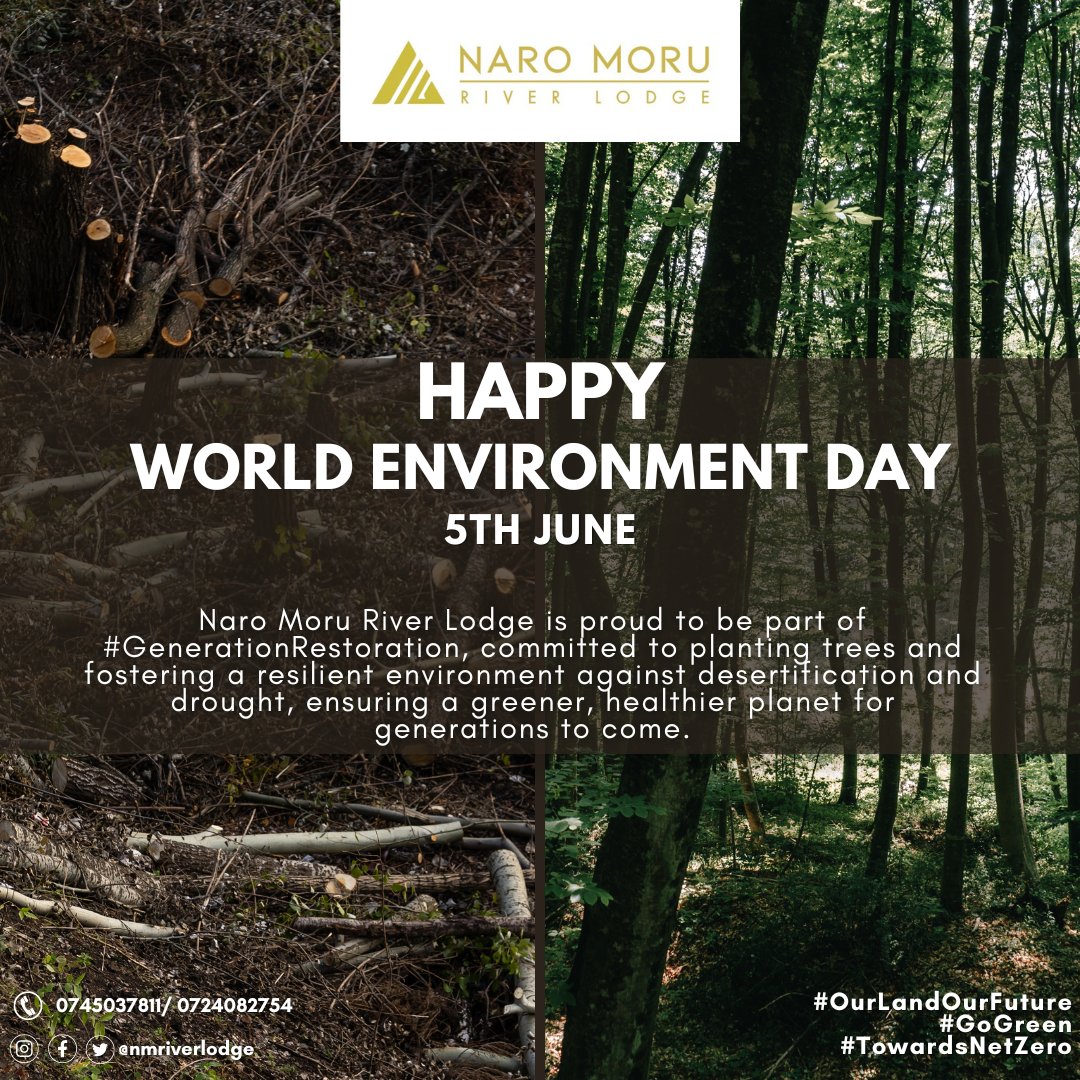 nmriverlodge's tweet photo. Happy World Environment Day from Naro Moru River Lodge.

#NaroMoruRiverLodge #WorldEnvironmentDay #GenerationRestoration #sustainability #EcoLodge #AnEscapeToNature https://t.co/LQLT7PX383
