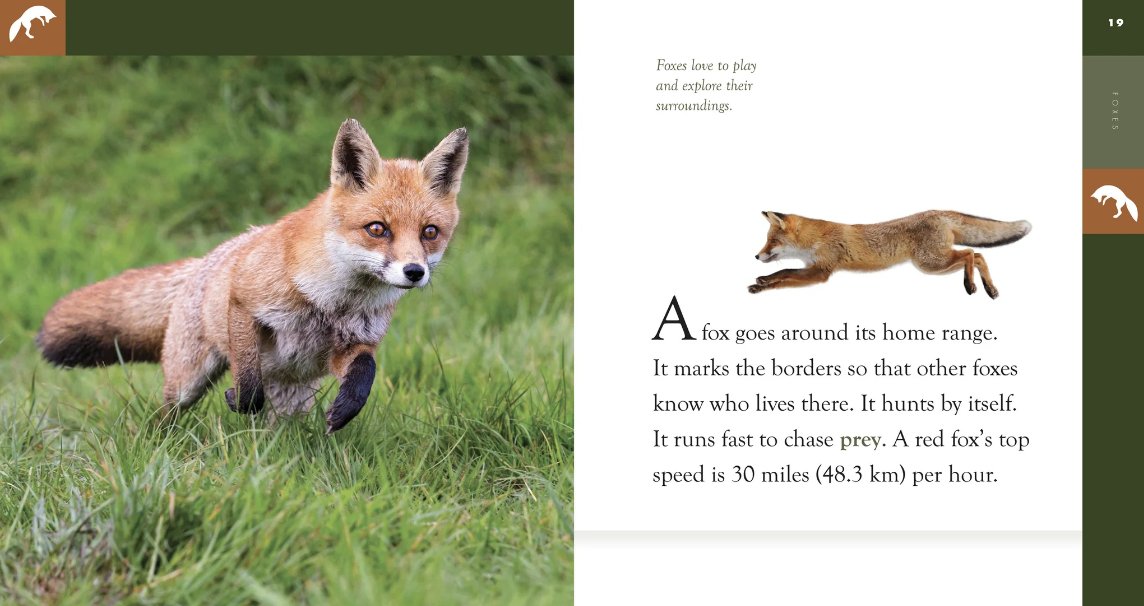#WhatIlearnedinWR60 🔍📚 Researching foxes taught me the value of close reading and critical analysis. Diving deep into scientific texts revealed the intricate lives of these amazing animals!