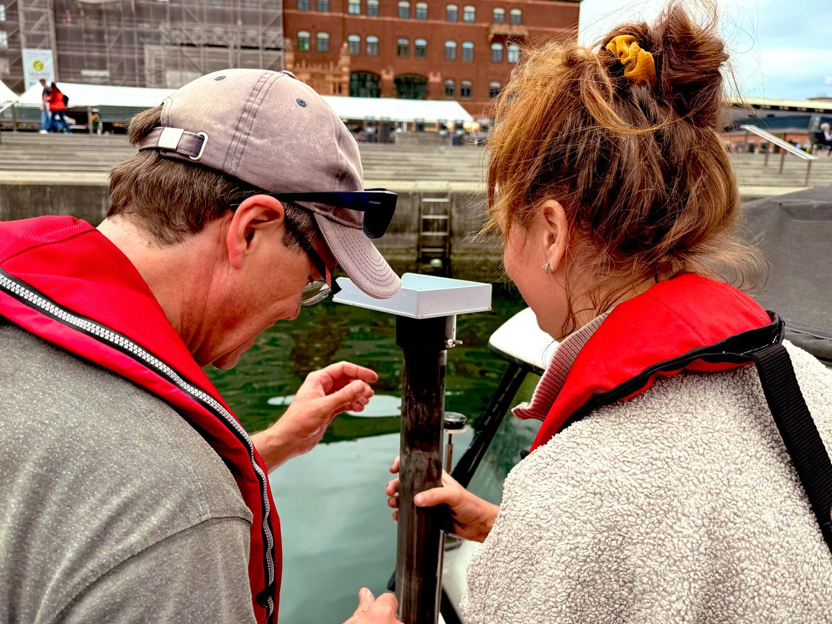 ZOsteRa RestOration tweet media