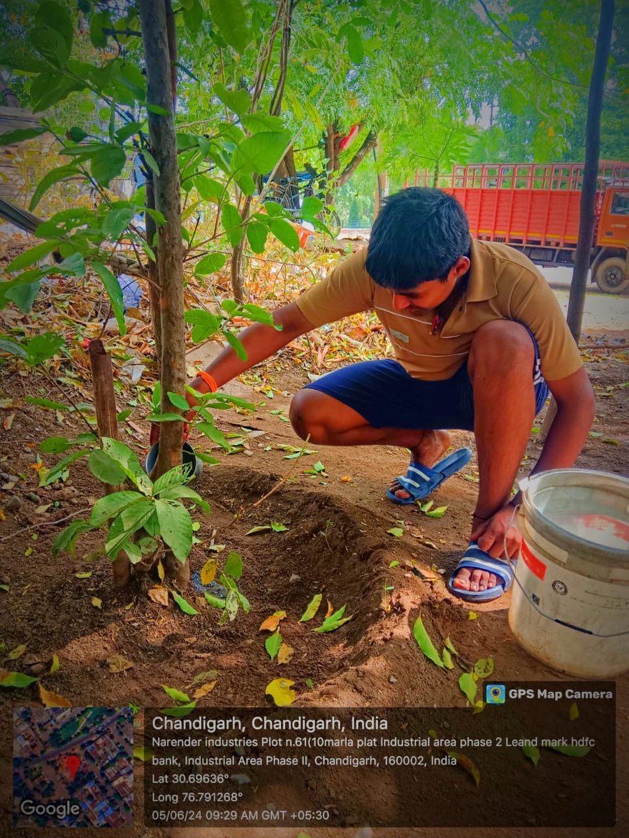 gmhs31's tweet photo. Summer Activities conducted during summer camps on the occasion of world environment day by the students of GMHS 31 C , Chandigarh
Day 1 : Adopt healthy lifestyle
Activities done by students
Nature walk in park or garden
Tree plantation 

@SchoolEduChd https://t.co/C7CwEMS2VI