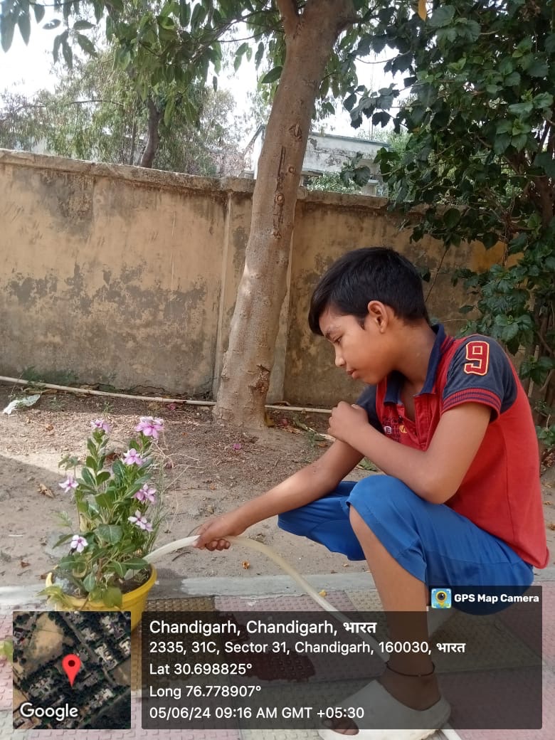 gmhs31's tweet photo. Summer Activities conducted during summer camps on the occasion of world environment day by the students of GMHS 31 C , Chandigarh
Day 1 : Adopt healthy lifestyle
Activities done by students
Nature walk in park or garden
Tree plantation 

@SchoolEduChd https://t.co/C7CwEMS2VI