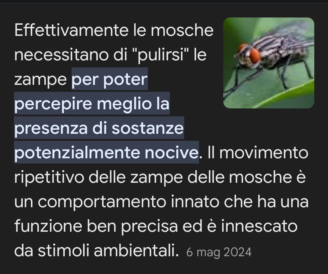 imnotkie's tweet photo. “cosa ci fai online alle 3 di notte?”
io che mi sveglio per cercare le domande assurde che mi vengono: https://t.co/9YpvihzxvO