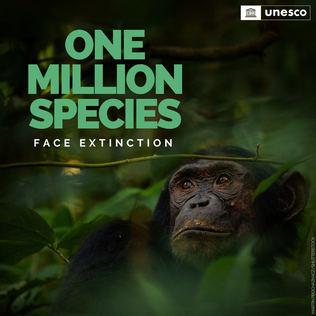 Today on #WorldEnvironmentDay, let's pledge to restore our planet for all living beings. Clean air, abundant resources, and lush greenery aren't just dreams—they're essential. Our actions today shape the future. Together, let's make Earth great again! 🌍💚 #SaveOurPlanet

✨🌠🙏