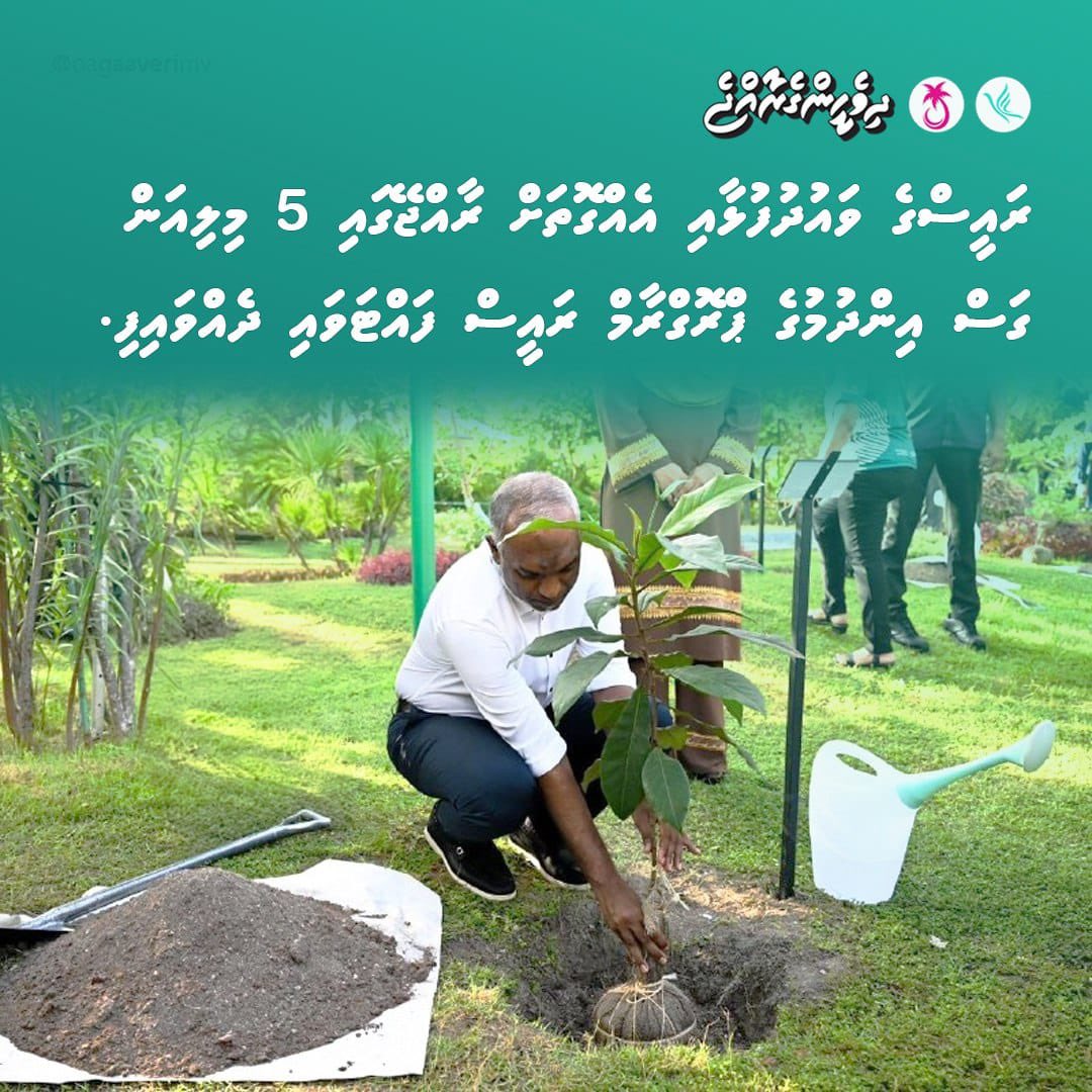 ރައީސްގެ ވައުދުފުޅާއި އެއްގޮތަށް  ރާއްޖޭގައި 5 މިލިއަން ގަސް އިންދުމުގެ ޕްރޮގްރާމް ރައީސް ފައްޓަވައި ދެއްވައިފި.
<a href="/MMuizzu/">Dr Mohamed Muizzu</a>
#DhiveheengeRaajje