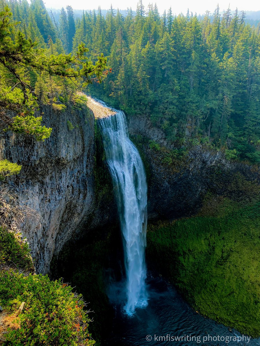 One of my favorite stops on our 5-day Pacific Northwest road trip: Salt Creek Falls. Oregon’s second highest single-drop waterfall plunges for 286 feet. 

Discover all our scenic stops on our Pacific Northwest adventure: kmfiswriting.com/perfect-five-d…
#waterfallwednesday