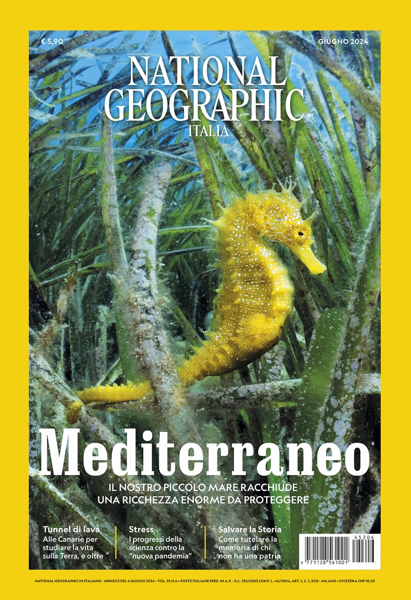 Ugo Mellone (@melloneugo) on Twitter photo Un lungo servizio con testo di <a href="/r_danovaro/">roberto danovaro</a> e fotografie del nostro collettivo, The Wild Line (Marco Colombo - autore della copertina, Bruno D'Amicis ed io), celebra la biodiversità del Mediterraneo e racconta le sfide per la sua conservazione sull'ultimo numero di NatGeo Italia. Un lungo servizio con testo di <a href="/r_danovaro/">roberto danovaro</a> e fotografie del nostro collettivo, The Wild Line (Marco Colombo - autore della copertina, Bruno D'Amicis ed io), celebra la biodiversità del Mediterraneo e racconta le sfide per la sua conservazione sull'ultimo numero di NatGeo Italia.