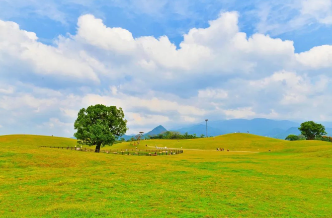 NingboFocus1's tweet photo. Recently, the TV series "#MyAltay" has become popular. The romantic mountain flowers and vast grasslands in the play have cured countless audiences. Not only in the Xinjiang, Zhejiang also has its own "Altay". [cr. Zhejiang Release] 🐂🐐🐎 https://t.co/HdYORf21DG