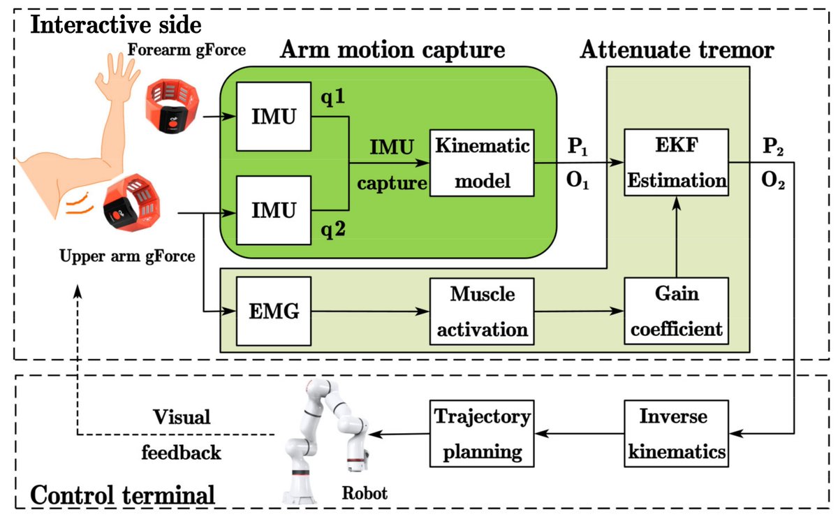 Sensors_MDPI's tweet image. IMU Motion Capture Method with Adaptive Tremor Attenuation in Teleoperation Robot System
mdpi.com/1424-8220/22/9…
#IMU #regressionmodel #physiologicaltremor #EKF #sEMGsignal #teleoperation