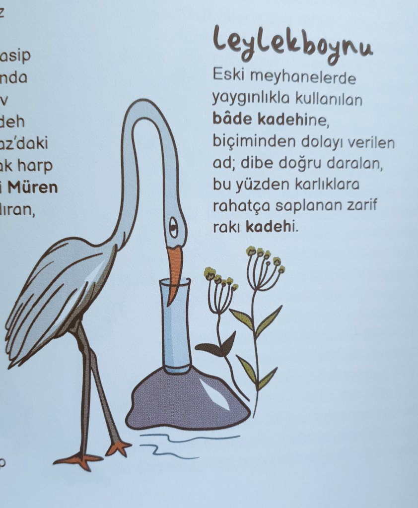 okuriken's tweet photo. Leylek boynu... Bazı güzel kelimeler. Arel Siviş'in Çizgili Rakı Ansiklopedisi'den. @anasonisleri Kitaplarından. https://t.co/iFxPEk5yci