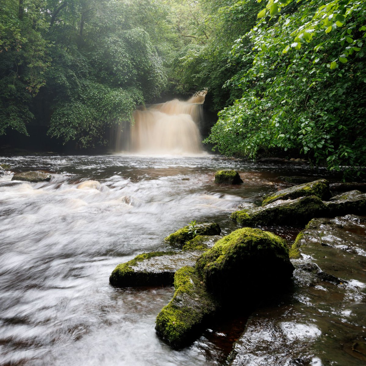 yorkshire_dales's tweet photo. It's Cauldron Falls in #Bishopdale for #WaterfallWednesday 💚 This pretty waterfall can soon become a torrent after rain! It was one of the spots painted by Turner on his travels in the #YorkshireDales in 1816. 

📸 @ChrisMBurgess https://t.co/n1VTwG085c