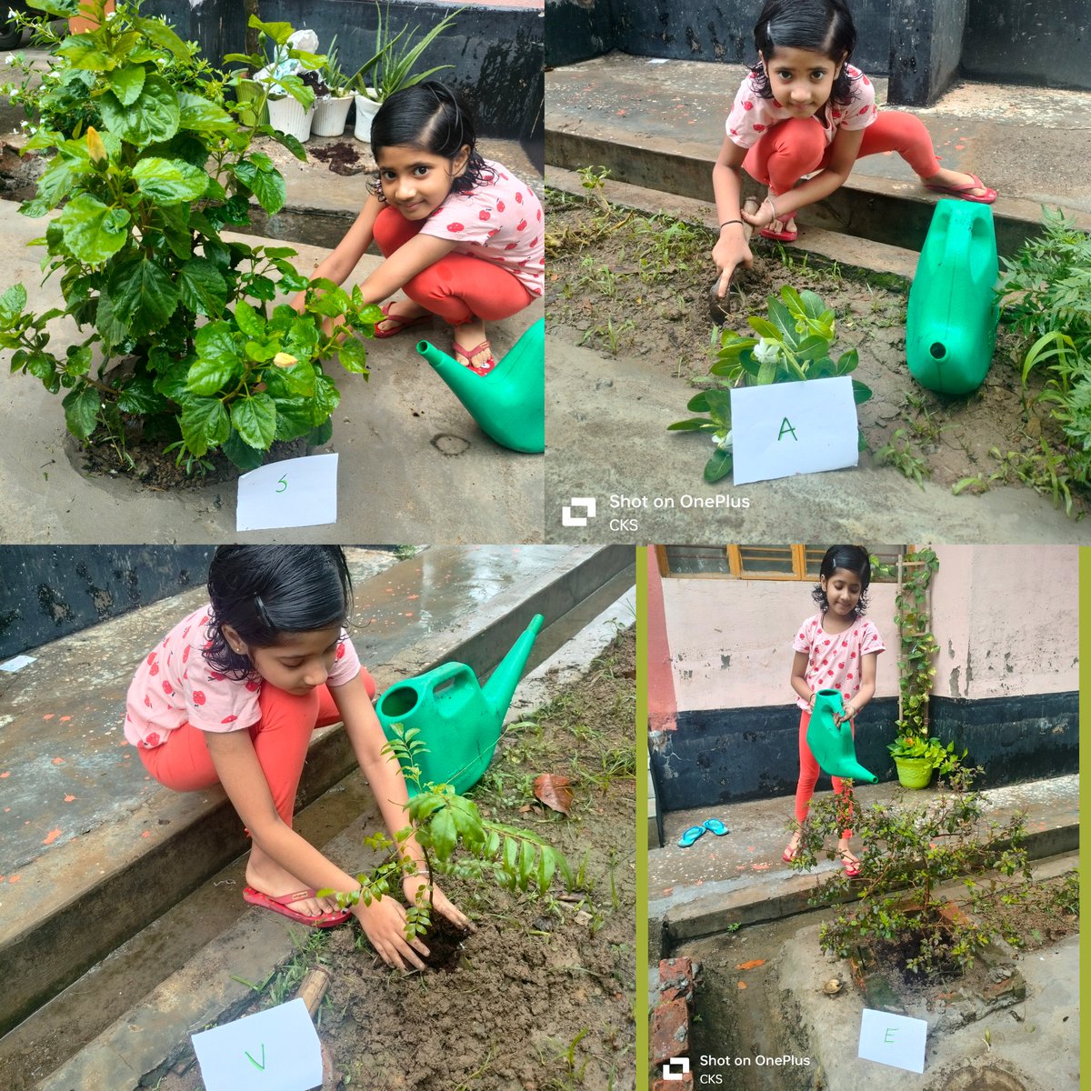 ckumarbihar91's tweet photo. @KVS_HQ Devanshi Srivastava, a student of Class 2A @KV_IITG 
#EnvironmentDay2024 https://t.co/RcbDdhoOgI