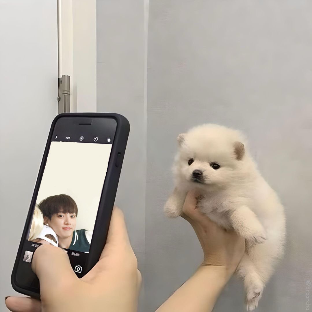 เบ้บบูเจเค⊹ᕱᕱ ྀི tweet media