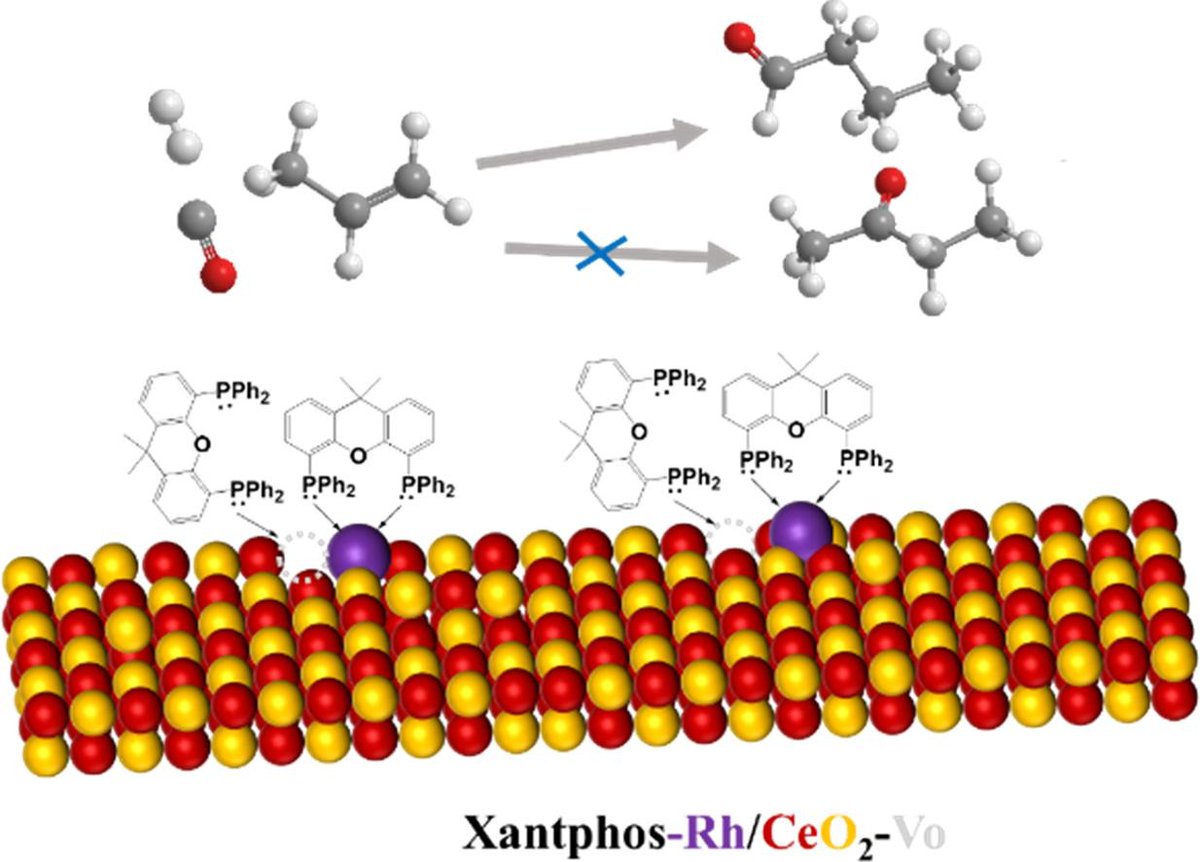 Ning Yan Lab (@ning_yan_lab) on Twitter photo Our work on propylene hydroformylation with Prof. Xinbin Ma is online in <a href="/JCatal_J/">Journal of Catalysis</a> 📰
We develop a Xantphos ligand coordinated single-atom Rh/CeO2 catalyst, which exhibits improved regioselectivity for butyraldehyde 🔬📈
sciencedirect.com/science/articl… Our work on propylene hydroformylation with Prof. Xinbin Ma is online in <a href="/JCatal_J/">Journal of Catalysis</a> 📰
We develop a Xantphos ligand coordinated single-atom Rh/CeO2 catalyst, which exhibits improved regioselectivity for butyraldehyde 🔬📈
sciencedirect.com/science/articl…