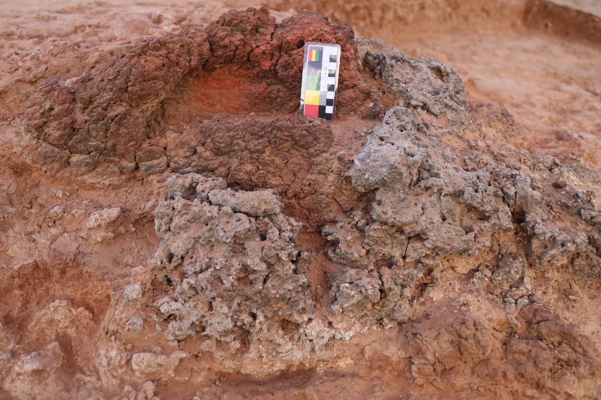 AnilkumarDevara's tweet image. @Freshfromthefield we found the evidence of Late Pleistocene veld fires in the form of burnt termite nests and burnt clay patches associated with burnt animal bones from Southern Andhra Pradesh, India as part of the @TheLeakeyFndtn funded research.....more information soon