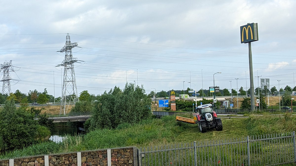 Marten Schoonman tweet media