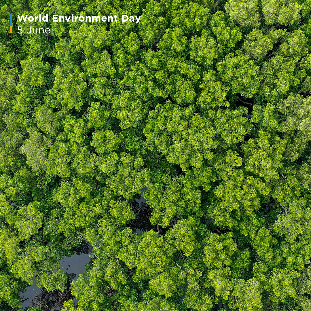 Our world is beautiful, isn’t it?

Let’s keep it this way by respecting it via our good habits, every day.

#Halkidiki #VisitGreece #worldenvironmentday