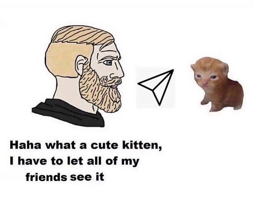 PunchingCat's tweet image. 