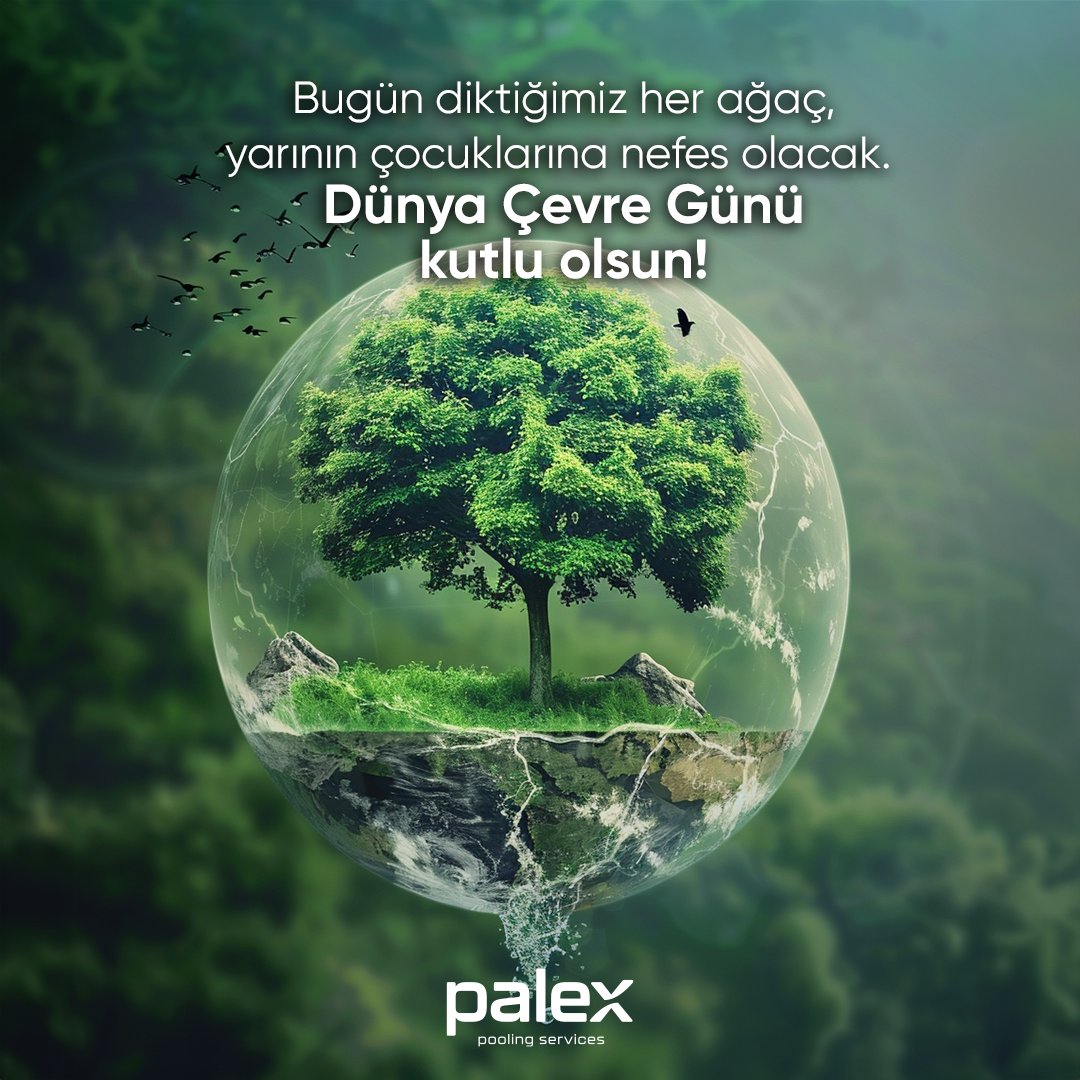 Her adımımız doğa için, her eylemimiz gelecek nesiller için. Döngüsel ekonomi iş modelimiz sayesinde doğayı koruyor, yeşil bir gelecek için çalışıyoruz! 5 Haziran Dünya Çevre Günü kutlu olsun!

#Palex