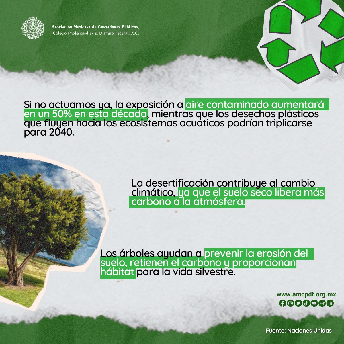 amcpdf's tweet photo. Hoy les compartimos unos datos curiosos que los harán reflexionar sobre la importancia de cuidar nuestro único hogar. 🌎 Recordemos que el cuidado del medio ambiente no es solo de un día, sino de siempre.🌱♻️ #DíaDelMedioAmbiente #AMCPDF #amcpparatodos https://t.co/jGOiMWPf7E