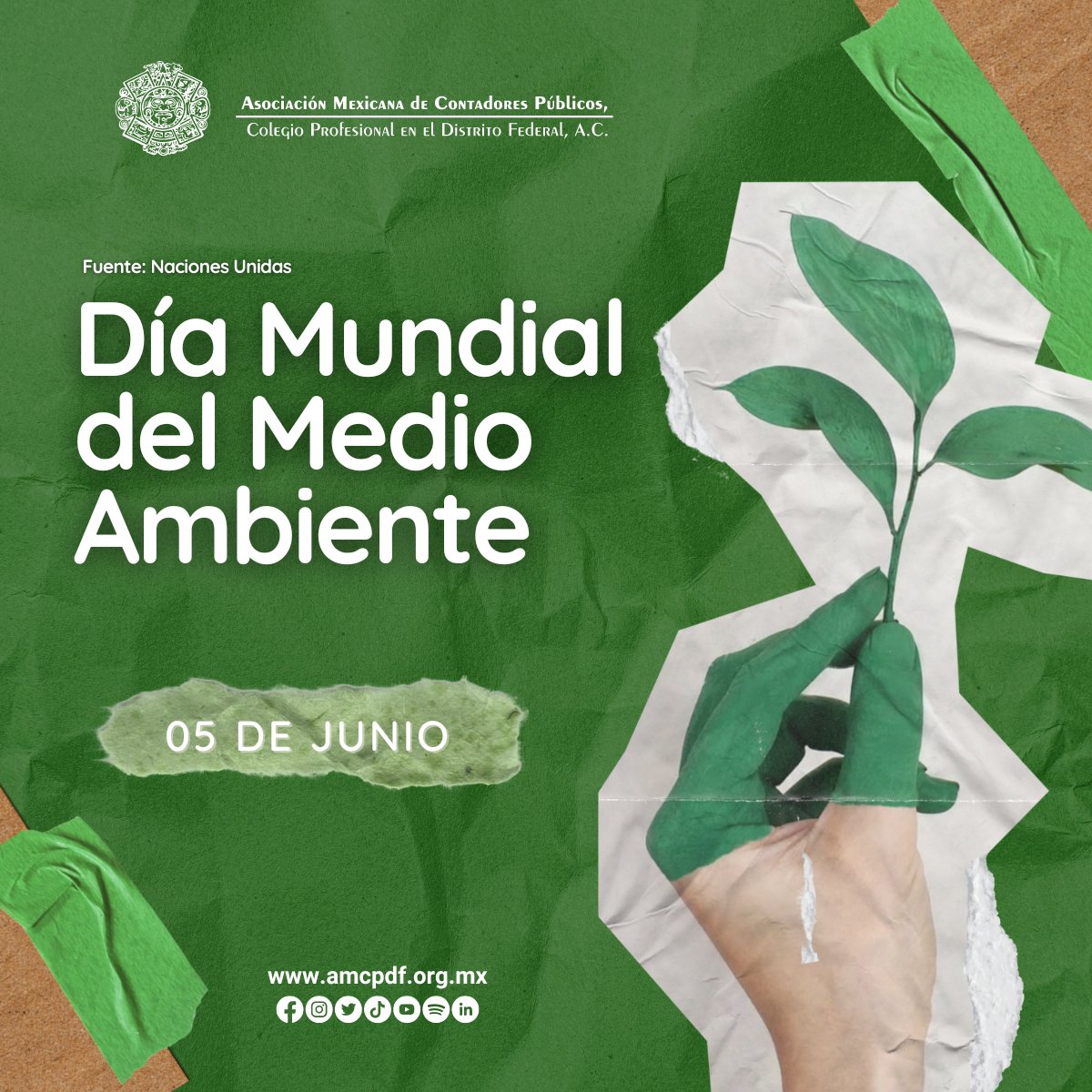 amcpdf's tweet photo. Hoy les compartimos unos datos curiosos que los harán reflexionar sobre la importancia de cuidar nuestro único hogar. 🌎 Recordemos que el cuidado del medio ambiente no es solo de un día, sino de siempre.🌱♻️ #DíaDelMedioAmbiente #AMCPDF #amcpparatodos https://t.co/jGOiMWPf7E