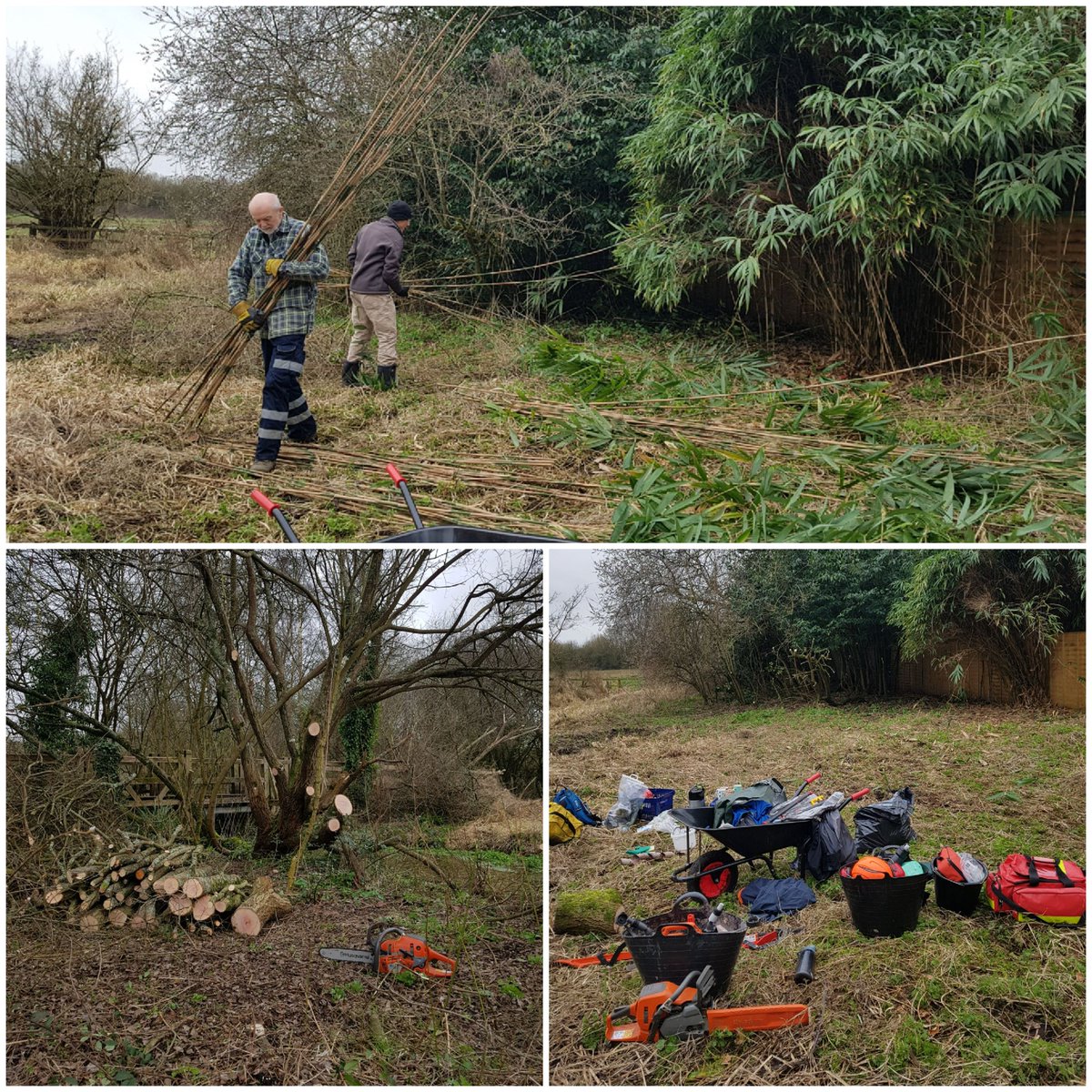 Maggie Shelton (@m_h_shelton) on Twitter photo #VolunteerWeek2024 πͺ improving a #chalkstream fenπ Darren from <a href="/WessexRivers/">Wessex Rivers Trust</a> used his chainsaw; vols removed tree/bamboo; I checked for wildlife. Then we cleaned up, had tea/biscuits π #WatercressAndWinterbournes <a href="/HeritageFundUK/">The National Lottery Heritage Fund</a> π€ <a href="/HantsIWWildlife/">Hampshire & Isle of Wight Wildlife Trust</a> ππ #VolunteerWeek2024 πͺ improving a #chalkstream fenπ Darren from <a href="/WessexRivers/">Wessex Rivers Trust</a> used his chainsaw; vols removed tree/bamboo; I checked for wildlife. Then we cleaned up, had tea/biscuits π #WatercressAndWinterbournes <a href="/HeritageFundUK/">The National Lottery Heritage Fund</a> π€ <a href="/HantsIWWildlife/">Hampshire & Isle of Wight Wildlife Trust</a> ππ