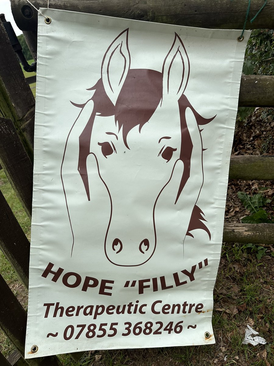 Thank you to Tracey and the team at Hope Filly Farm. They have been helping our Y6 pupils to overcome their anxiety over high school transition through a course of Equine Therapy. <a href="/SchoolsCat/">TheCATSchools</a>