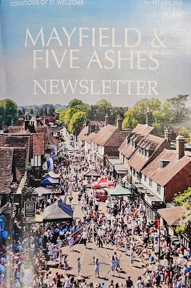 Article by Donzi Donovan from Hastings &amp; Rother Swift Conservation Group in this months Mayfield &amp; Five Ashes newsletter