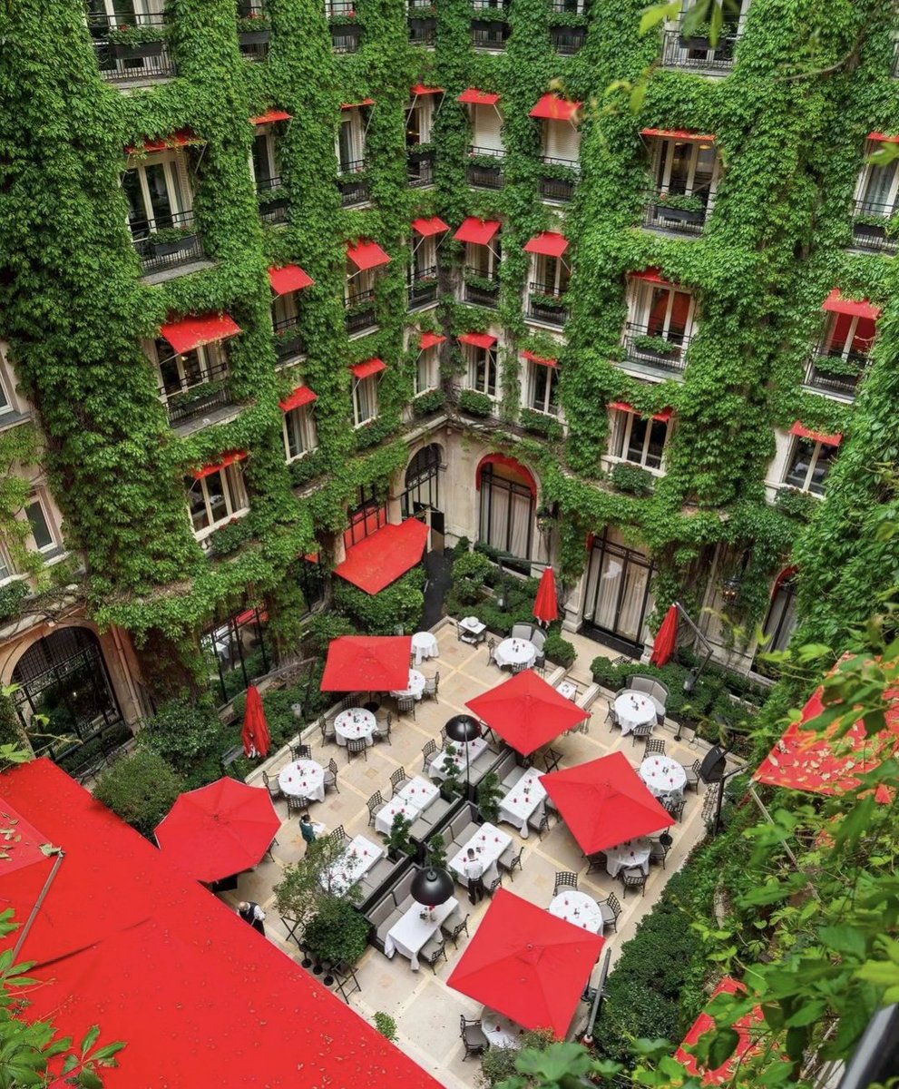 Reposted @plaza_athenee A sunny lunch at La Cour Jardin is always a good idea ✨ #DCmoments