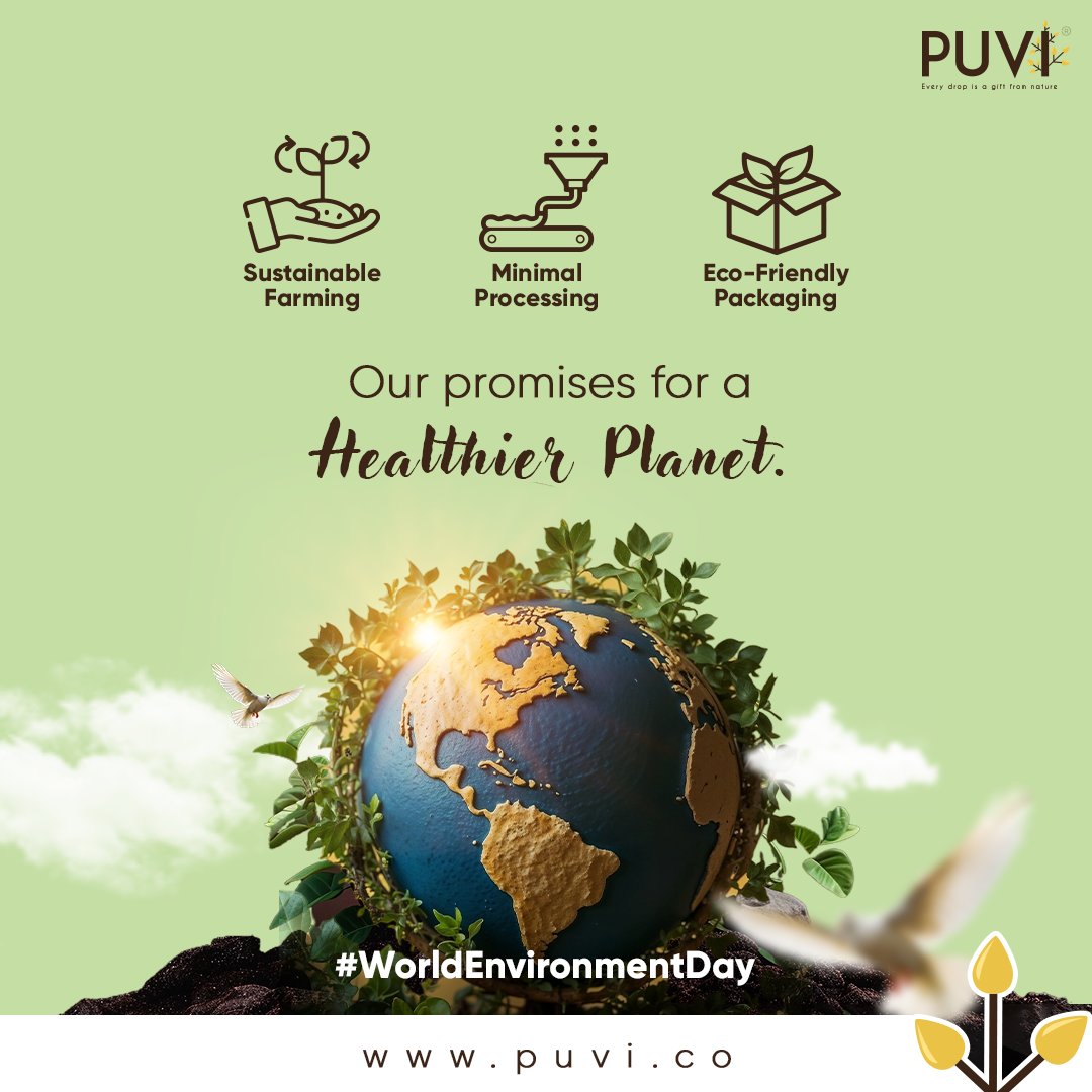 puvioils's tweet photo. As we celebrate #WorldEnvironmentDay‌, we at #Puvi are dedicated to more than just producing high-quality #coldpressedoils. We are committed to the well-being of #ourplanet and the #sustainability of our practices. https://t.co/RJHezZPwfX