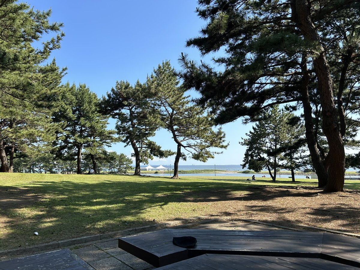 いい天気☀️