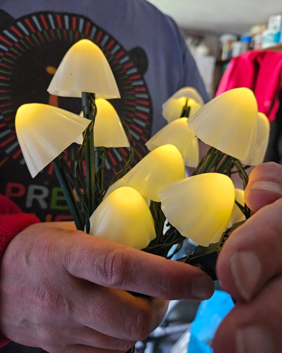 GreenfieldGreen's tweet photo. New solar lights for garden https://t.co/Ej1N2gmyGh
