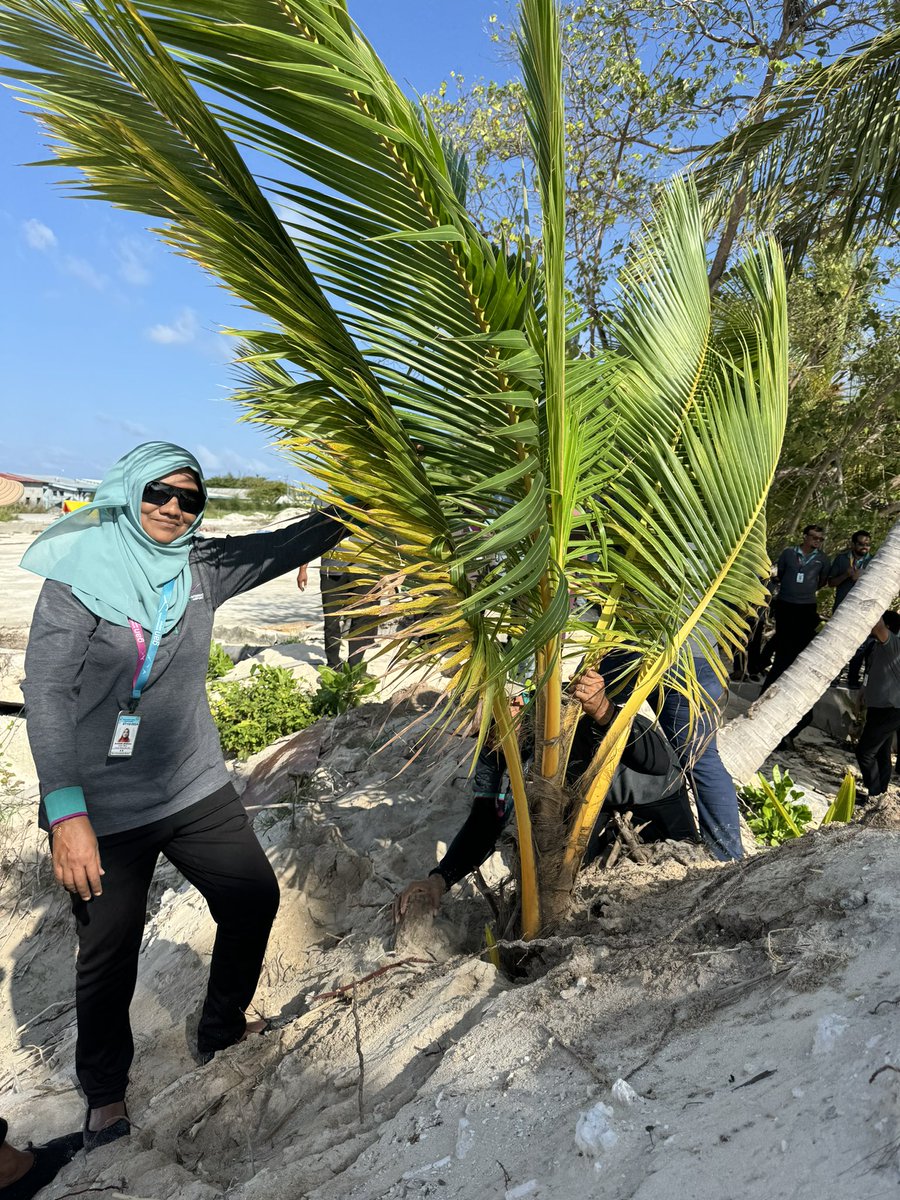 In celebration of World Environment Day, AIA staff planted 150 palm trees on Gan Island, supporting H.E. Dr. Mohamed Muizzu's ambitious 5 Million Tree Planting Program.
#WorldEnvironmentDay‌