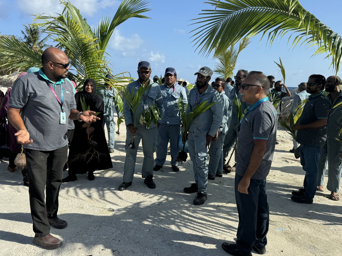 AIA_MV's tweet photo. In celebration of World Environment Day, AIA staff planted 150 palm trees on Gan Island, supporting H.E. Dr. Mohamed Muizzu's ambitious 5 Million Tree Planting Program.
#WorldEnvironmentDay‌ https://t.co/uhZDzoiqUN