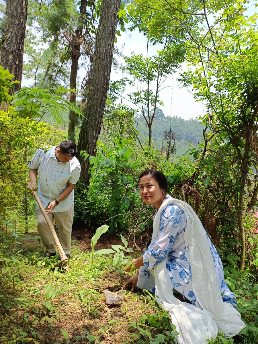 nss3dbcmaram's tweet photo. PO &amp; @_NSSIndia volunteers of #DBCMaram observed the #WorldEnvironmentDay2024 by planting saplings in &amp; around the campus
@PMOindia @ianuragthakur
@YASMinistry @YAS_Manipur @NBirenSingh @NssrdD @nss_rdguwahati @nsscellmu
@mygovindia @UN @UNEP @FAOForestry @ManipurForest #NSSIndia https://t.co/QurbM7hPUs