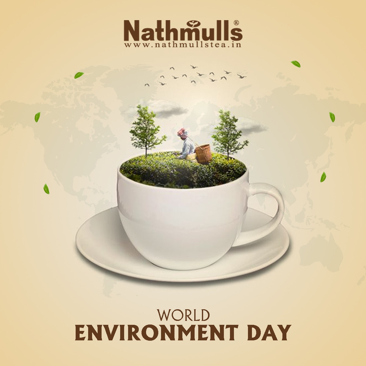 NathmullsTea's tweet photo. World Environment Day. Choose green tea practices for a sustainable future. #worldenviromentday #greetea #nathmullstea #teatime https://t.co/BkybgeDEa9