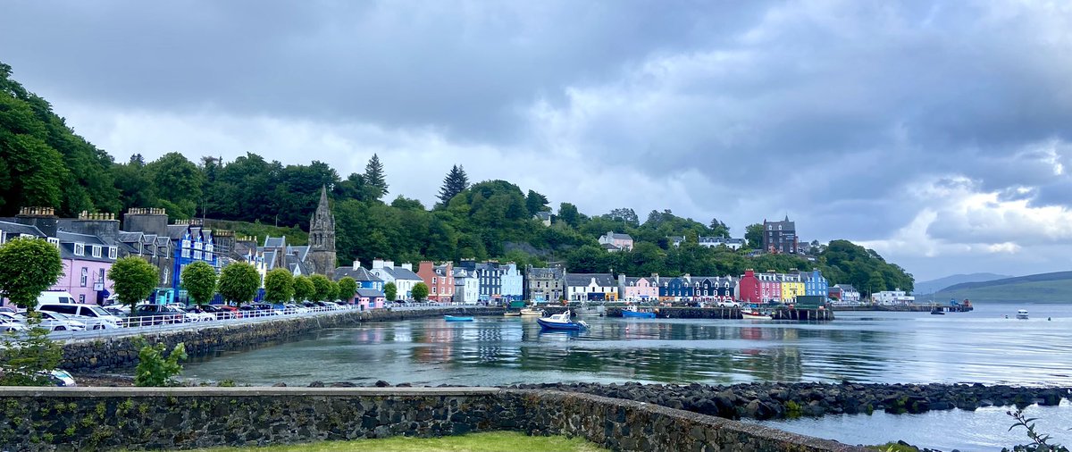 MGS_Employability tweet media