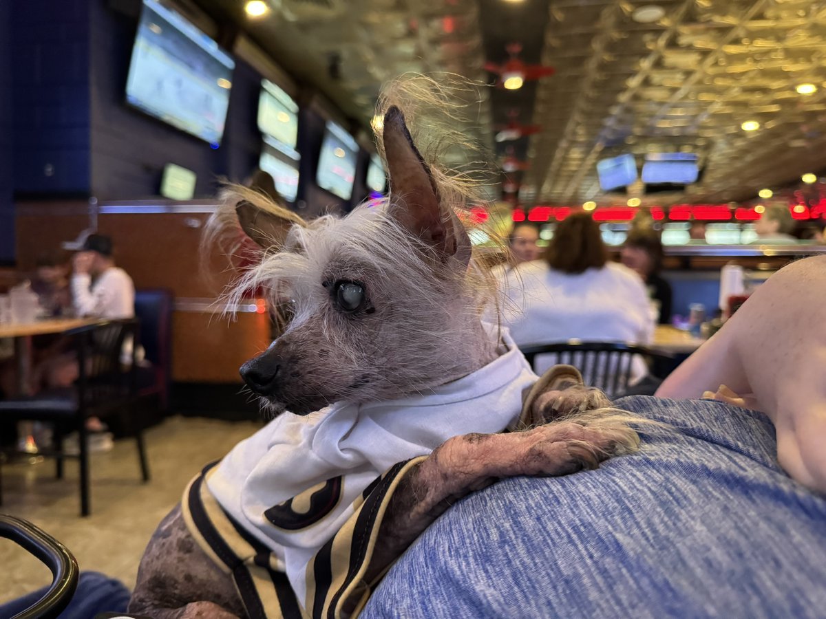 ReillyJohnson's tweet photo. Had a fun time with @ServiceDogDex at @TheHersheyBears' Watch Party for the Eastern Conference Finals Game 3! Big win for the Bears! 🐻 🏒 https://t.co/iI46QnJw4s