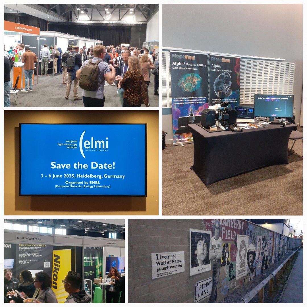 PhaseView tweet media