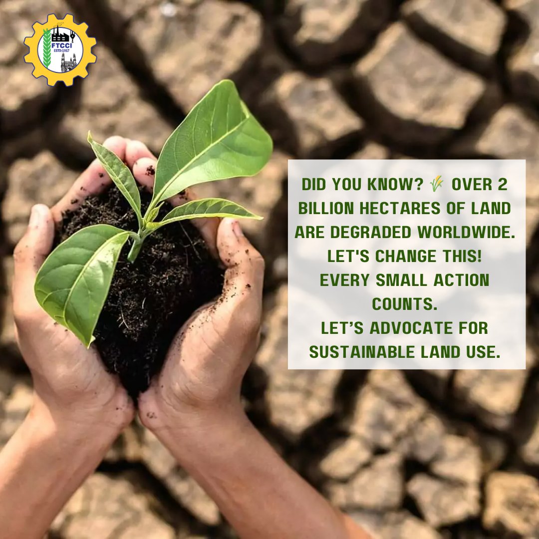 FTCCI's tweet image. 🌍 This World Environment Day 2024, let's commit to a healthier planet.
Every small action counts: 
🌱 Plant native vegetation 
💧 Practice water-saving techniques 
🌍 Advocate for sustainable land use
#WorldEnvironmentDay #RestoreOurEarth #FightDesertification #SustainableFuture